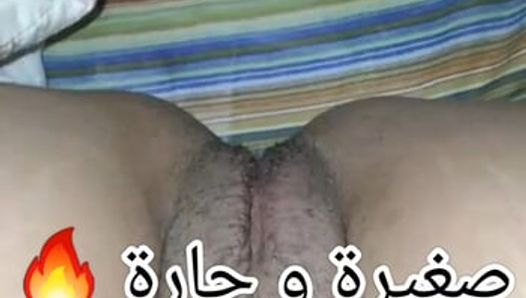 Sghira w hara bent alger sghira w niyaka